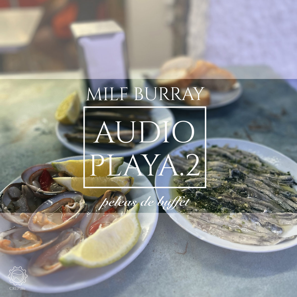 audio-playa-2