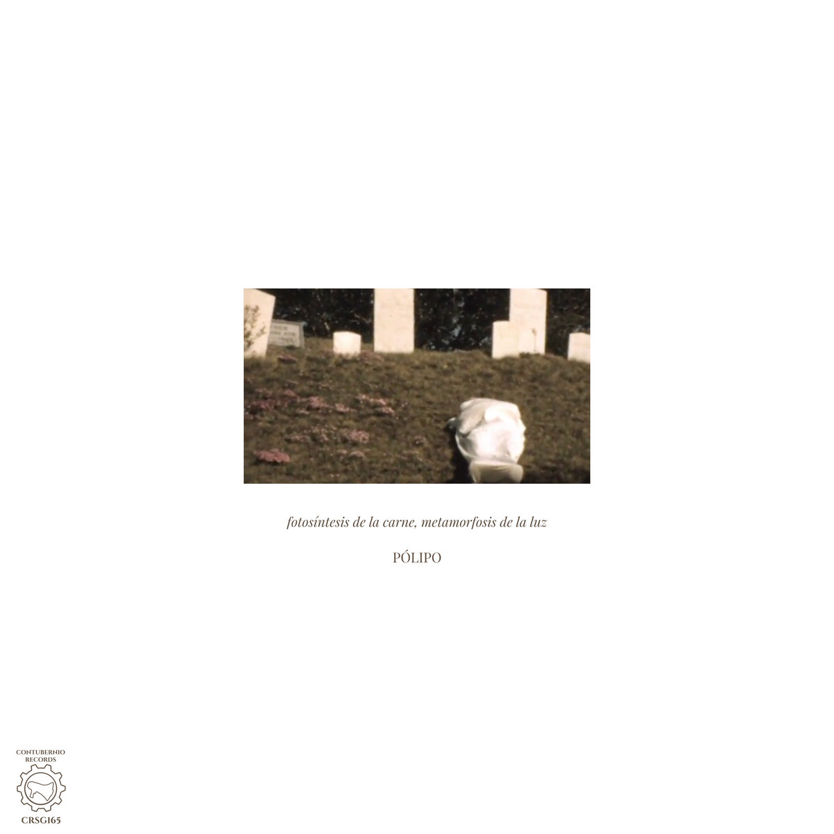 Fotosíntesis de la carne, metamorfosis de la luz. Nuevo single de Pólipo
